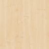 Y463 FS24 European Maple 0,00 €